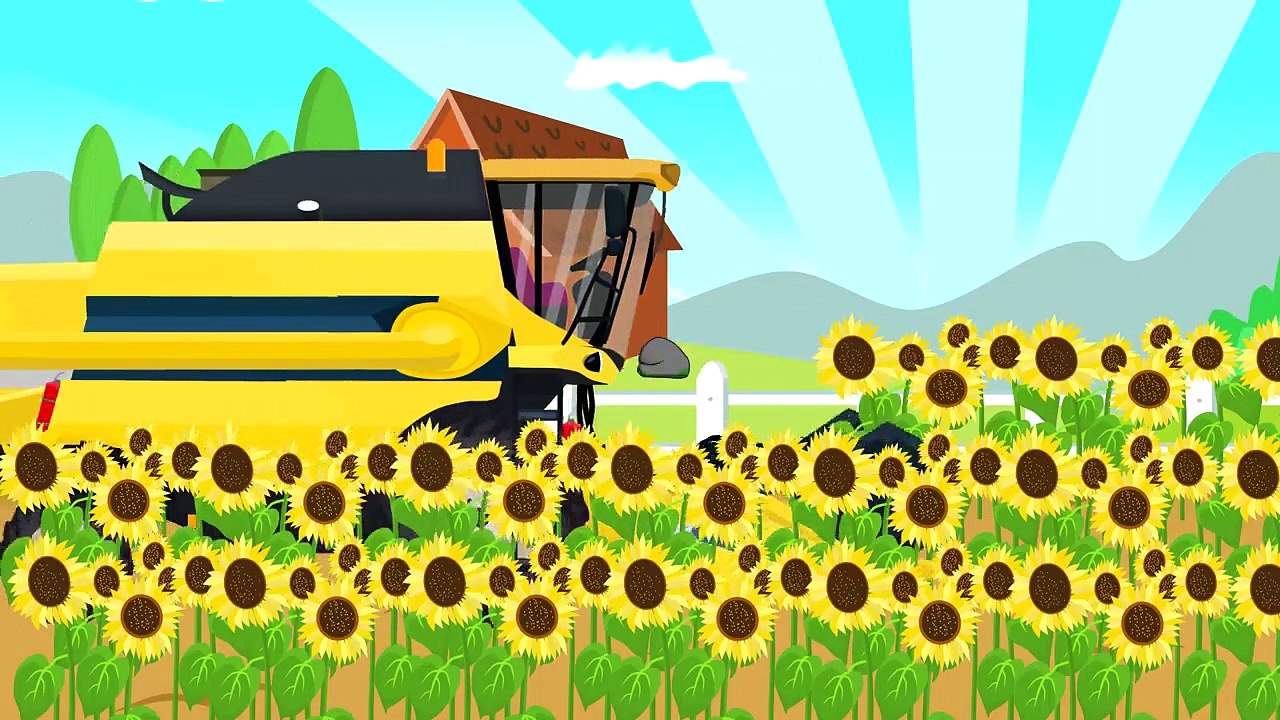 Extra Tractor and Yellow Combine Harvester |  Formation and uses | Bajka Traktor I Kombajn Pracuje