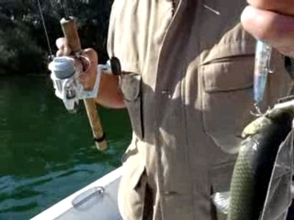 La pêche dans le Rio ebro : www.delta-fishing-club.com