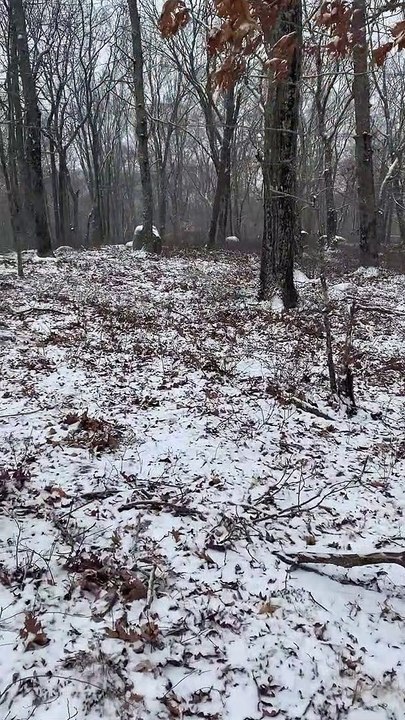 Brian Ghilliotti: Taking More Azimuths at Possible Lithic Circle in Essex, CT