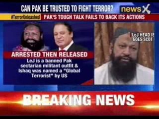 Lashkar-e-Jhangvi head Malik Ishaq released in pakistan