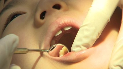 입학하는 우리 아이, 건강 점검 해주세요 / YTN