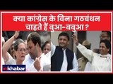 क्या कांग्रेस के बिना गठबंधन चाहते हैं, अखिलेश यादव और मायावती? India News Ka Chunavi Adda