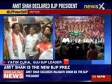Rajnath Singh announces Amit Shah as BJP President