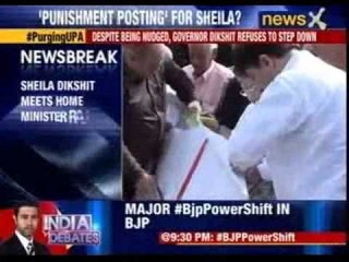 Sheila Dikshit meets home minister Rajnath Singh