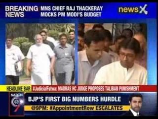 下载视频: MNS Chief Raj Thackeray mocks PM Modi's Budget