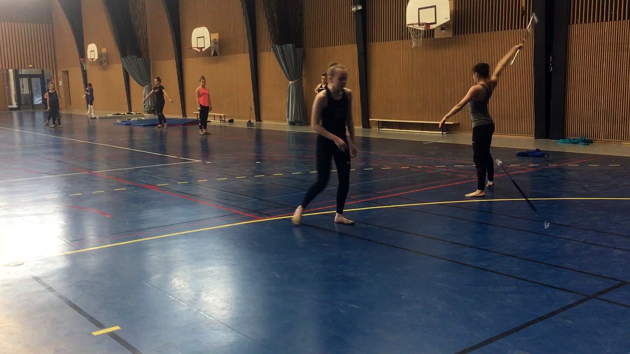 Une délégation norvégienne vient rendre visite au club de twirling bâton voironnais