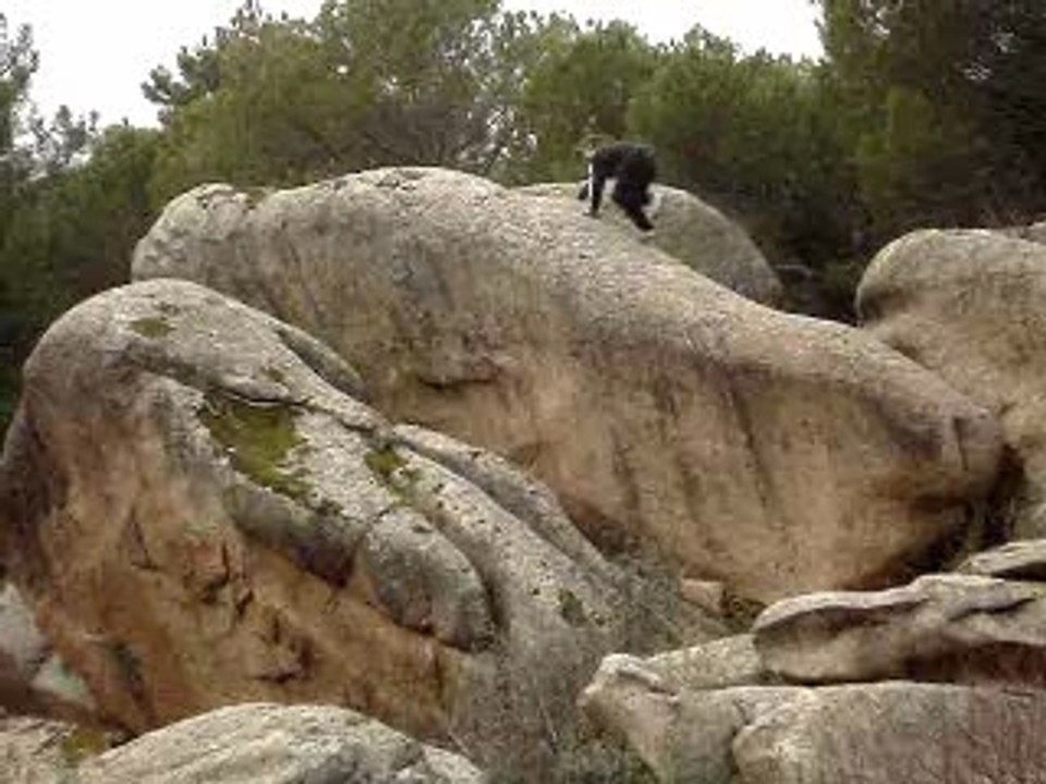 Natural training