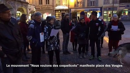 L'association "Nous voulons des coquelicots" manifeste place des Vosges