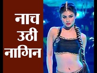 टीवी की सबसे फेमस नागिन ने लगाए पंजाबी गाने पर ठुमके