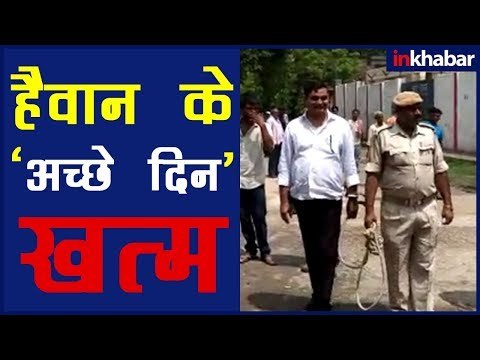 बिहार शेल्टर होम केस ब्रजेश ठाकुर की अस्पताल से छुट्टी, Muzaffarpur Shelter Home Case Update Video