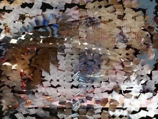 Drole d'animal - Calogero