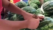 vine video