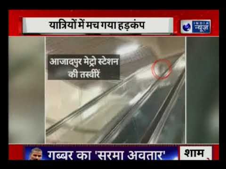 Delhi: Monkey having fun ride in escalators of Azad Nagar metro station