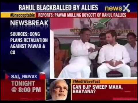 NCP leader trying hard to persuade pawar