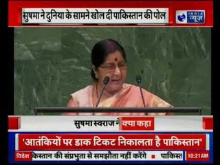 Sushma Swaraj Speaks at UN, say, "Pakistan Sheltered Osama Bin Laden"