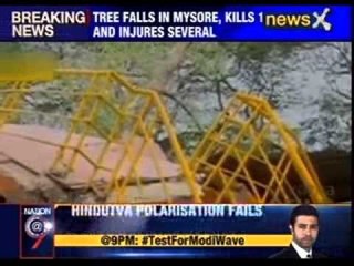 Unrooted tree falls on temple, 1 person dies