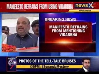 Maharashtra BJP releases election manifesto