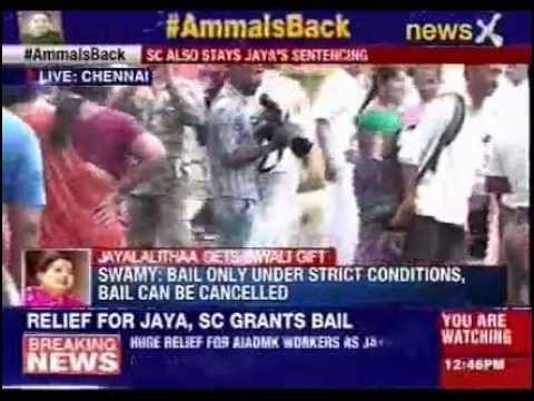 Supreme Court grants bail to Jayalalithaa, AIADMK supporters celebrate