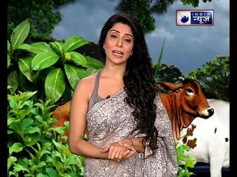 क्या घर का कोई सदस्य बीमार रहता है, तो करें यह उपाय || Family Guru with Jai Madaan