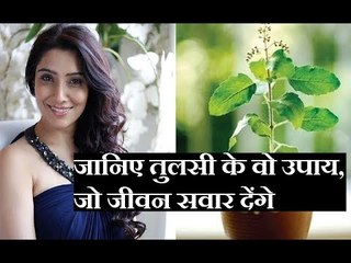 तुलसी का उपाय पाप भी मिटाएगा और मोक्ष भी दिलाएगा || Family Guru || Jai Madaan