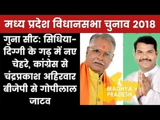 Madhya Pradesh Election 2018 Guna Constituency: Who Will Win? Chandraprakash Or Gopilal Jatav