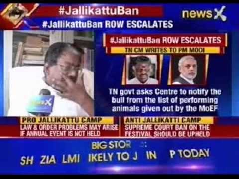 Tamil Nadu CM writes to PM Modi to overturn ban on jallikattu