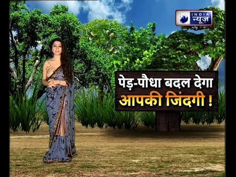 देखें पेड़-पौधा कैसे बदल देगी आपकी जिंदगी | Family Guru | Jai Madaan