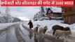 Snow fall in Jammu & Kashmir: उत्तर भारत में सर्दी का सर्जिकल स्ट्राइक, ठंड से ठिठुर रहे हैं लोग