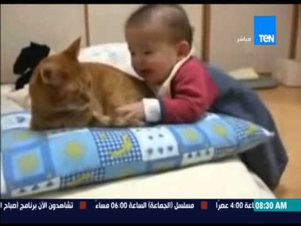 صباح الورد - فيديو لطفل رضيع يلتهم وياكل "ديل قطة"