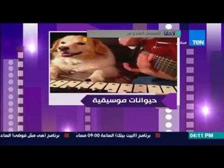 عسل أبيض - كلب يعزف الموسيقى على الآلات الموسيقية المختلفة بطريقة رائعة