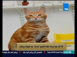 البيت بيتك - تخيل لو القط سندباد كان قادم من بريطانيا بالغلط المصريين هيعملوا فيه ايه ؟