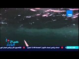 صباح الورد - فيديو يحصد على نسب عالية من المشاهدة لغواص يشتبك مع سمكة قرش ضخمة بـ