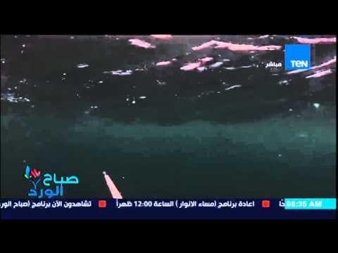 صباح الورد - فيديو يحصد على نسب عالية من المشاهدة لغواص يشتبك مع سمكة قرش ضخمة بـ العصا