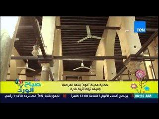 صباح الورد - الفقرة السياحية - تعرف على حكاية مدينة "فوه" التى بناها الفراعنة وفيها ثورة أثرية نادرة