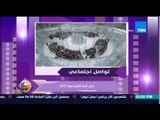 عسل ابيض - ديكورات رائعة ومبهرة فى عرض أزياء 