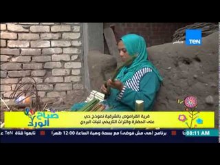 صباح الورد - الفقرة السياحية - قرية القراموص بالشرقية النموذج الوحيد بالعالم لزراعة نبات البردي