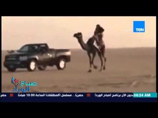 صباح الورد - فيديو لسقوط مؤلم لفتاة كويتية من أعلى ظهر جمل وتستغيث بالخدم ولا احد ينقذها