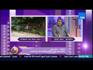 عسل أبيض - عبد الرحمن يوسف ومحمد توفيق - إرتكاب جرائم القتل ضد الكلاب فى شوارع مصر