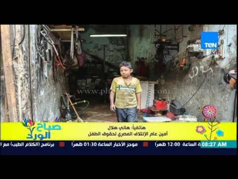 صباح الورد - هانى هلال أمين إئتلاف حقوق الطفل يرد على إستغلال الإعلام لطفولة الأسطى حمدى