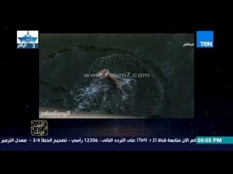 البيت بيتك | El Beit Beitak - شباب يقفزون من أعلى الكوبرى في النيل بسبب ارتفاع درجات الحرارة