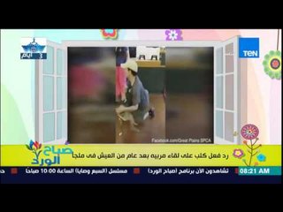 صباح الورد - فيديو يكشف "معنى الوفاء" لرد فعل كلب على لقاء مربيه بعد عام من العيش فى ملجأ للحيوانات