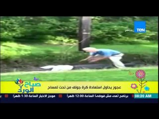 صباح الورد - فيديو لمعركة عنيفة بين رجل عجوز وتمساح وتعرض حياته للخطر لإستعادة كرة جولف