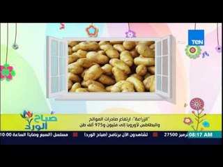 صباح الورد - الزراعة : إرتفاع صادرات الموالح والبطاطس لأوروبا إلى مليون و975 ألف طن