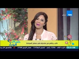 صباح الورد - فيديو لكلب ينتقم من صاحبته فى قلب "حمام السباحة" وتنقلب فى المياة