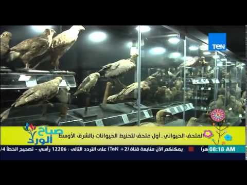 صباح الورد - المتحف الحيواني بحديقة الحيوان .. أول متحف لتحنيط الحيوانات بالشرق الأوسط
