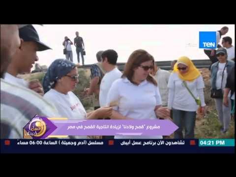 عسل ابيض - شركة مونديليز ... مشروع قمح ولادنا لزيادة انتاجية القمح فى مصر