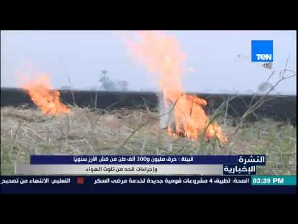النشرة الإخبارية - البيئة : حرق مليون و300 ألف طن من قش الأرز سنوياً وإجراءات للحد من تلوث الهواء