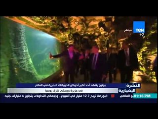 النشرة الإخبارية - بوتين يتفقد أحد أكبر أحواض الحيوانات البحرية فى العالم فى جزيرة روسكى شرق روسيا