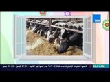 صباح الورد - الزراعة تستعد لـ 