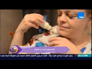 عسل أبيض - فيديو لقطة صغيرة تتسلق على "جسد سيدة" لتبحث على الطعام الخاص بها